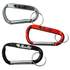 Carabiner - BassCat Logo